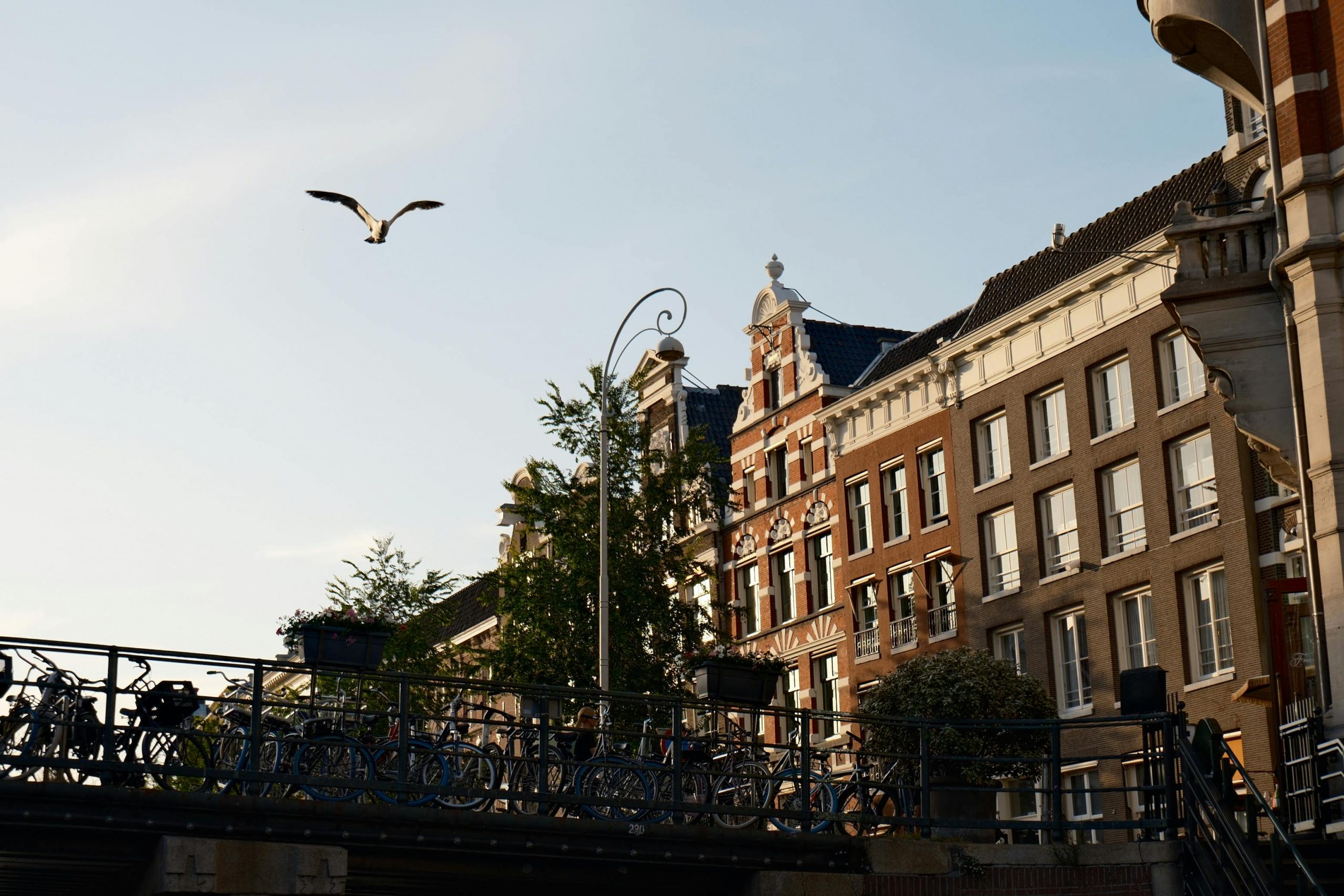 Une scène sereine du canal d'Amsterdam avec des bâtiments historiques et un oiseau en vol sous un ciel clair.