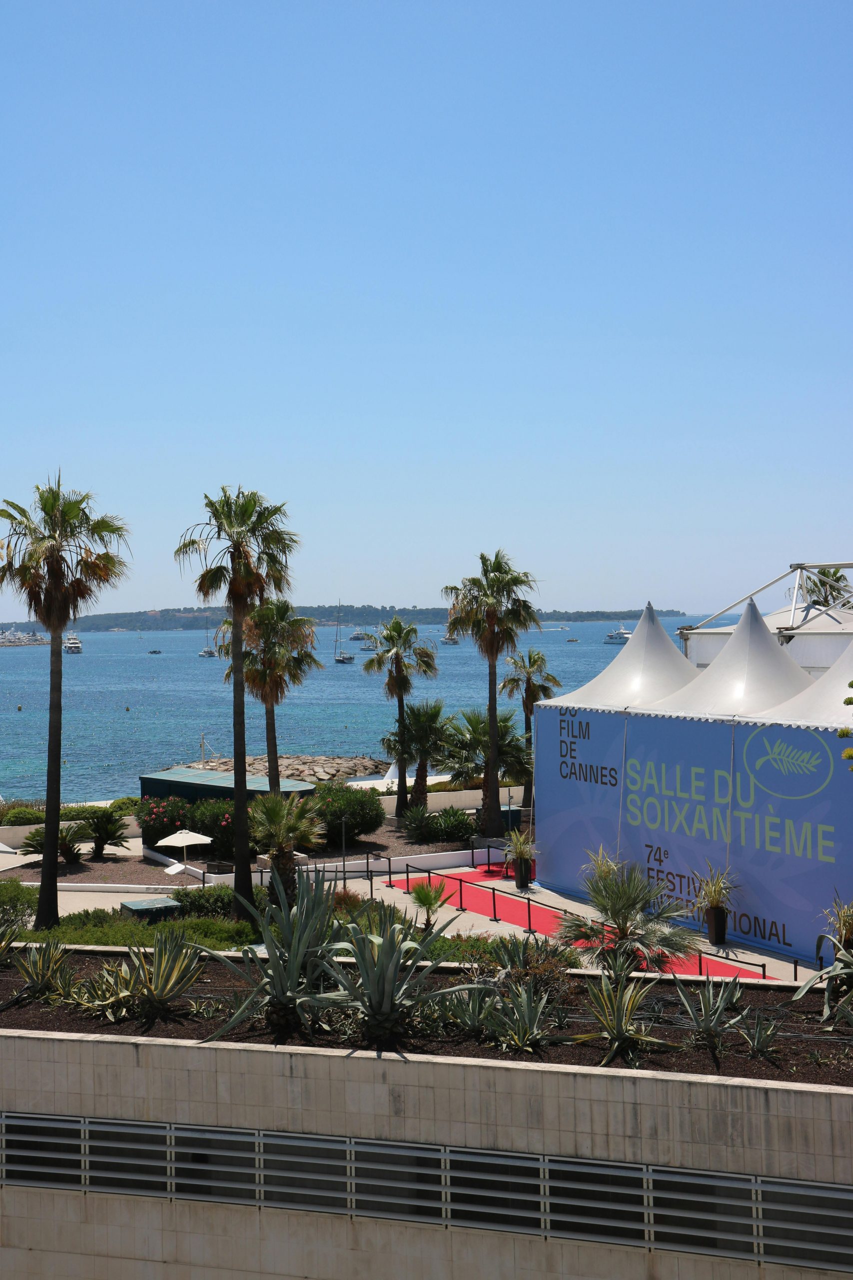 Vue pittoresque des tentes du Festival de Cannes, avec la mer et les palmiers en arrière-plan.