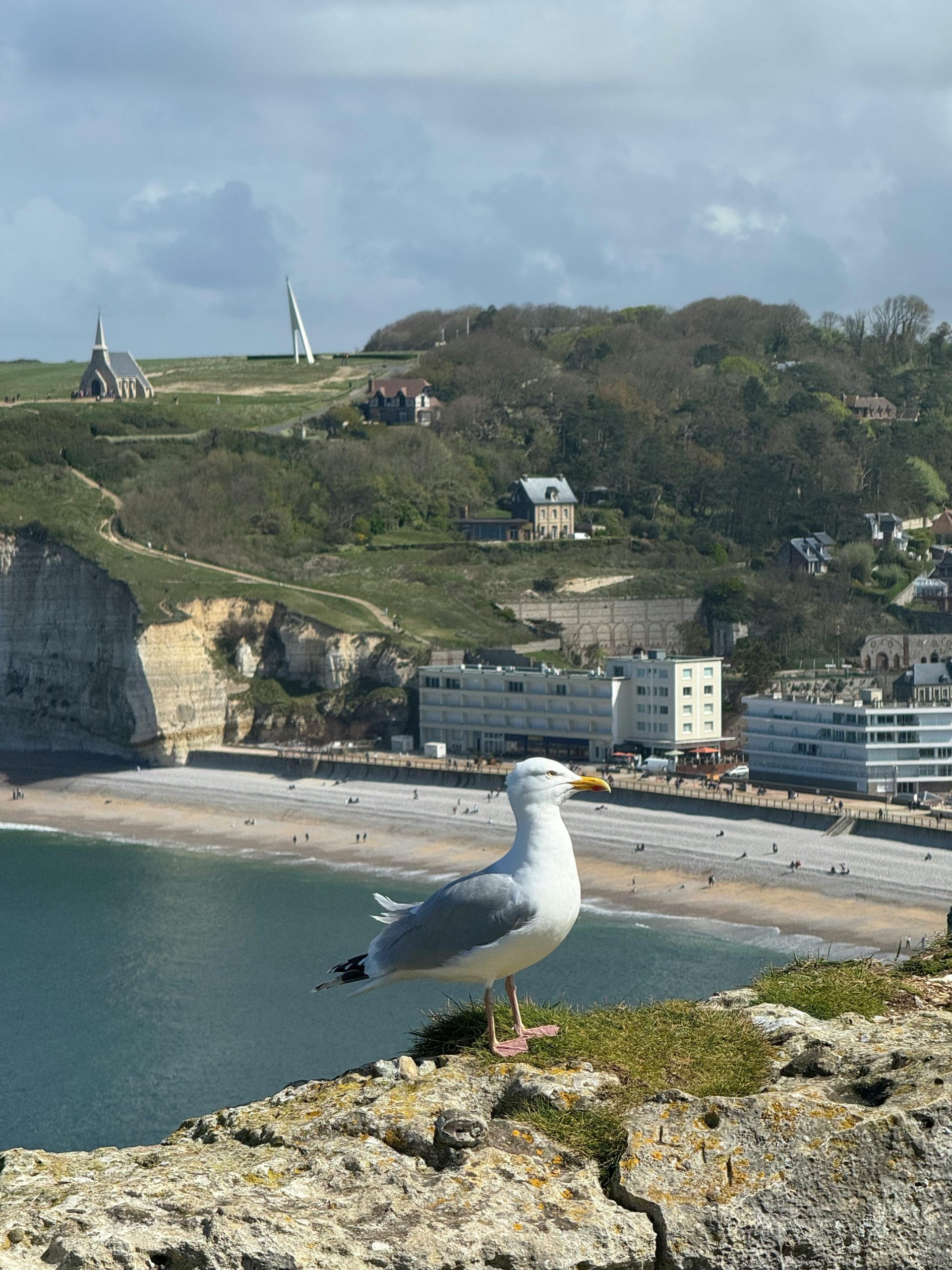 Une mouette est perchée au sommet des magnifiques falaises surplombant la plage et la ville d'Étretat, en Normandie, France.