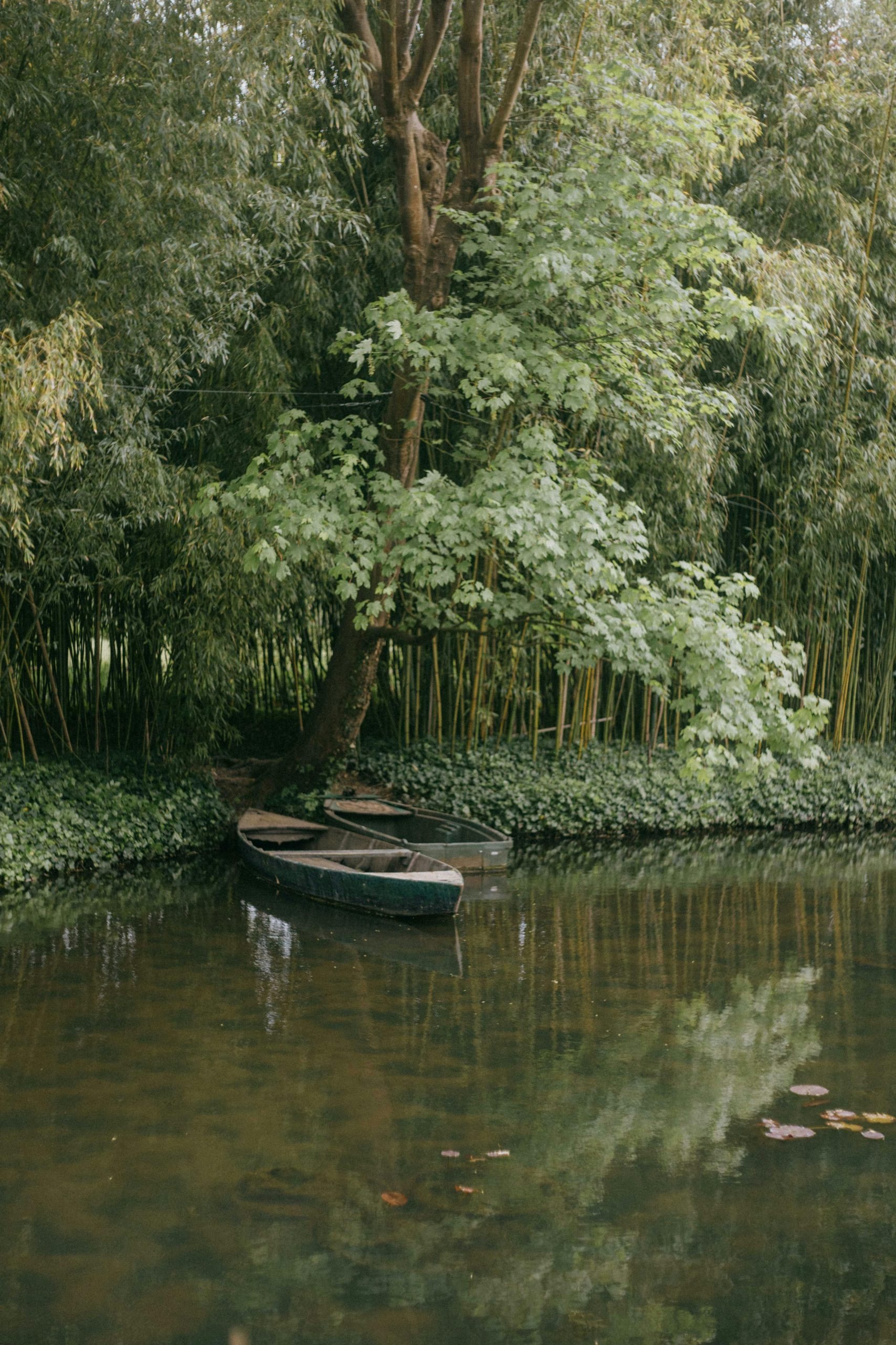 Dans Les Jardins De Monet.
