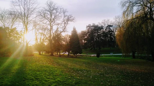Coucher de soleil sur le Parc Barbieux à Roubaix, en France, lors d'une soirée d'hiver animée. La lumière du soleil se divise en rayons de lumière entre les arbres et les branches pour créer un cadre mystique calme. Les feuilles d'automne se propagent à travers l'herbe, laissant la plupart des arbres nus.